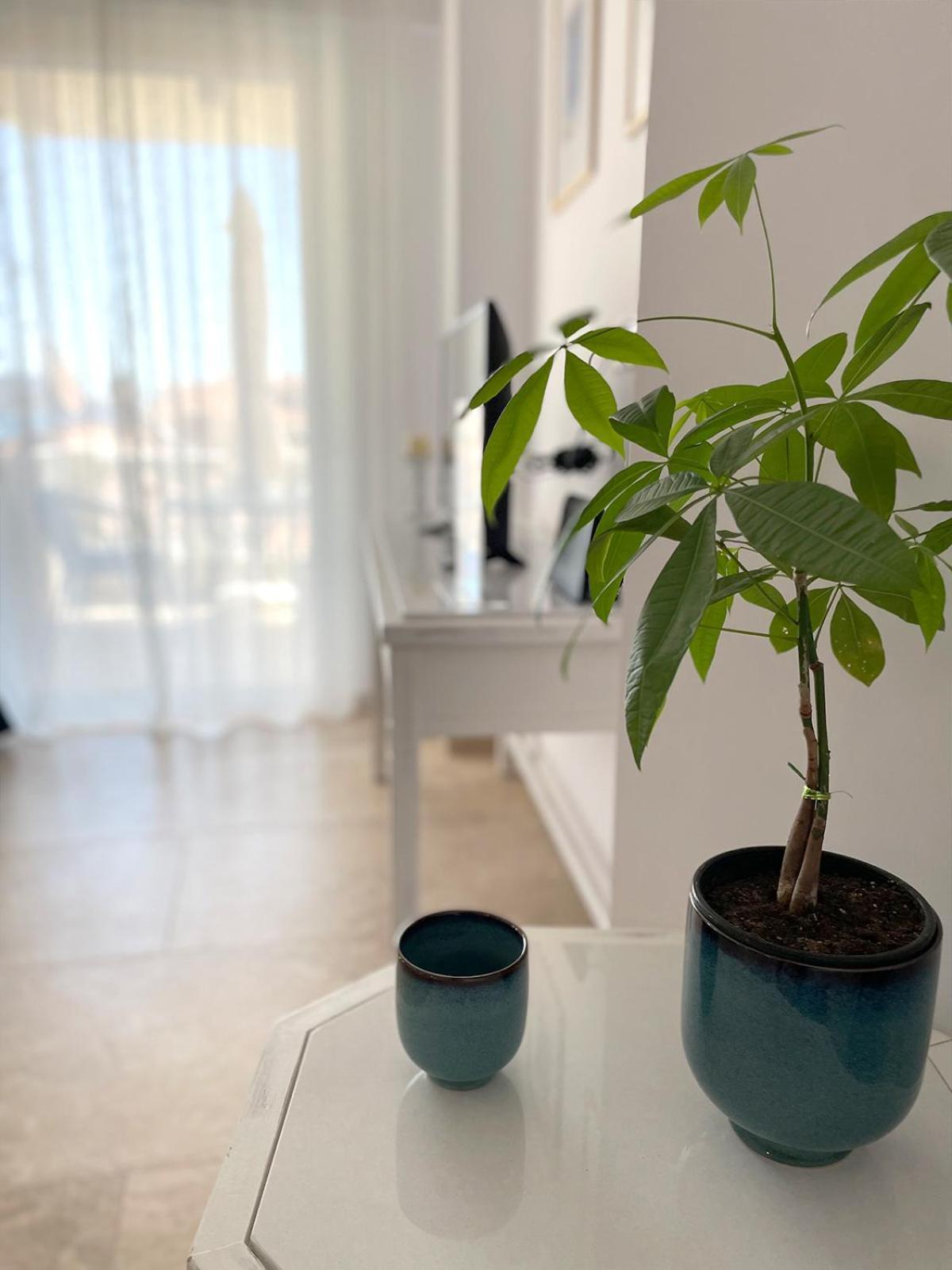 Odysseus Boutique Apartment إرميوني المظهر الخارجي الصورة
